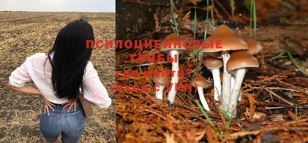 тгк Арсеньев