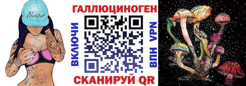 купить наркотик  ссылка на мегу маркетплейс  Галлюциногенные грибы Psilocybine cubensis  Починок 